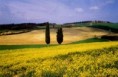 /album/toscana/toscana-jpg1/