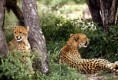 /album/sudafrica/sudafrica2-jpg/